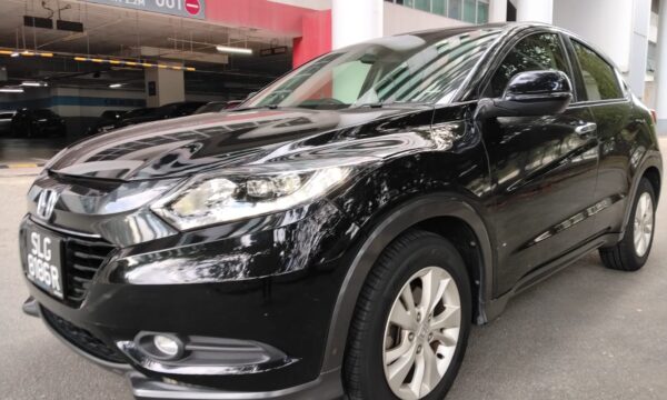 HRV 1.5 DX